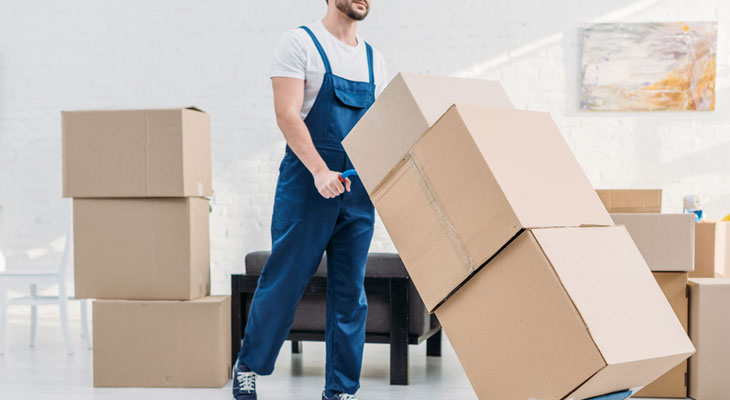 moving boxes